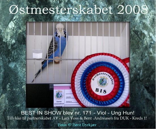 Images: BIS_ostmester2008-bd.JPG Images: BIS_ostmester2008-bd.JPG