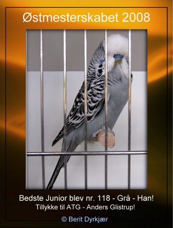 Images: Bedste Junior.JPG Images: Bedste Junior.JPG