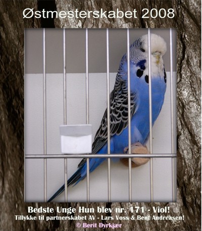 Images: Bedste Unge Hun - AV.JPG Images: Bedste Unge Hun - AV.JPG