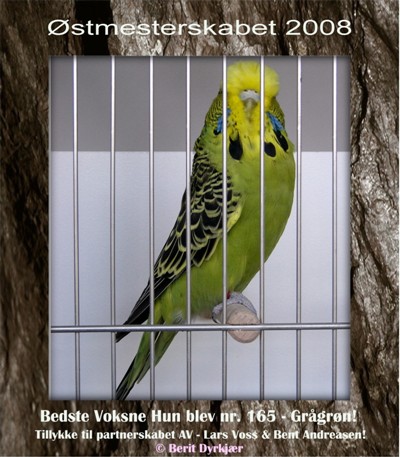 Images: Bedste Voksne Hun - AV.JPG Images: Bedste Voksne Hun - AV.JPG