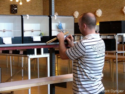 Images: Skuet 22.JPG Images: Skuet 22.JPG